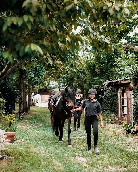 Centro Ippico Albarella - Pony Club, Scuola Equitazione, Pensione Cavalli