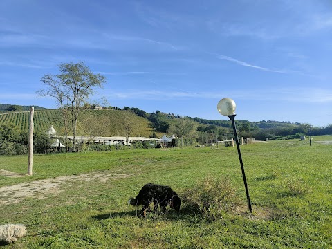 Piscina ValleChianti