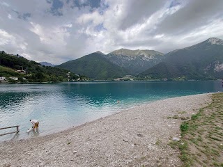 Spiaggia Per Cani