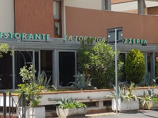 Tortuga Pizza & Fish Ristorante Pizzeria