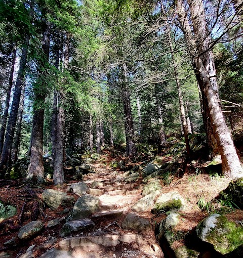 Rifugio Lago Nambino