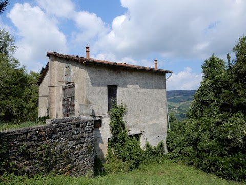 MizarValle - Agenzia Immobiliare Valle del Santerno