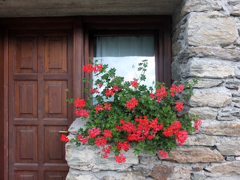 Agriturismo Al Castagneto