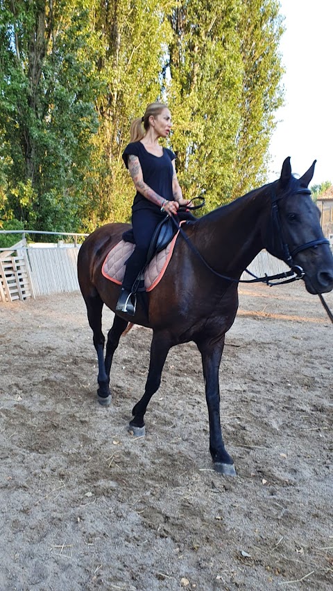 Centro Ippico Tenuta Santa Grazia - Isamar Horse Riding Center