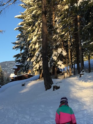 Casa Del Roccolo - Appartamenti Folgarida