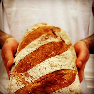 LIEVITO PADRE Forno con Cucina