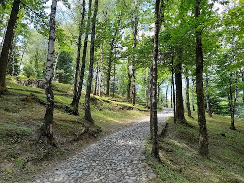 Riserva Naturale Incisioni Rupestri di Ceto, Cimbergo e Paspardo