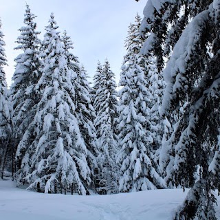 Parco delle Orobie Valtellinesi Alpe Armisola