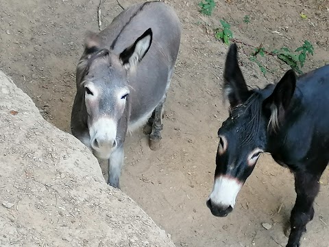 Fattoria Didattica "Lo Spaventapasseri" Az. Agricola Le Lame - Agri Nido per Bambini