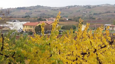 Ente Tutela Vini Di Romagna