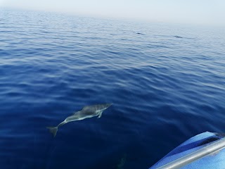 Associazione Vivere il Mare - Gite in Barca Escursioni Pesca e Feste in Barca