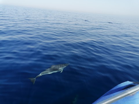 Associazione Vivere il Mare - Gite in Barca Escursioni Pesca e Feste in Barca