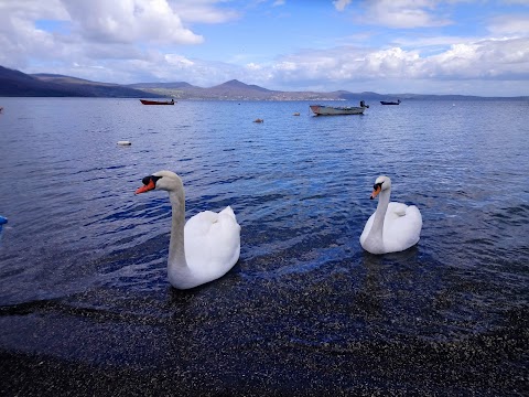 Amici del Lago