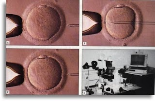 Centro Clinico Di Ginecologia e Fecondazione Assistita San Carlo