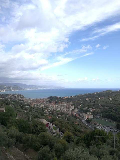 Comune di Santa Margherita Ligure - Scuola Materna