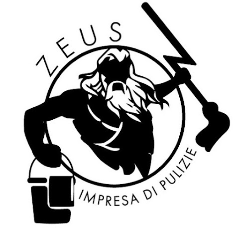 Impresa di Pulizie Zeus Pulizie di C.V.