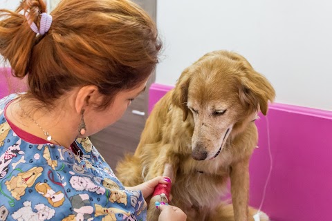 Nuovo Centro Veterinario L'Isola