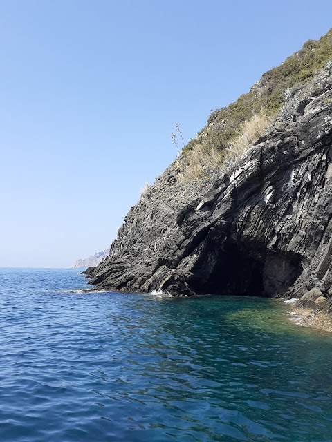 Route Cinqueterre Boat Tours Vernazza