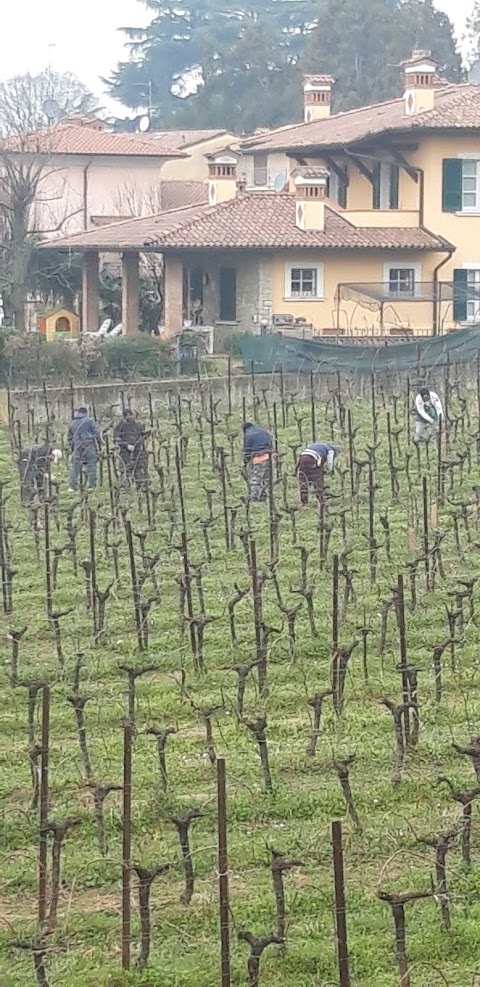 Asilo Infantile di Villa Pedergnano