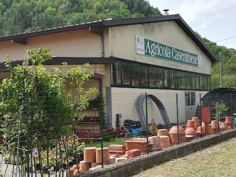 Agricola Casentinese Bassi Srl