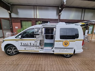 Taxi Bau