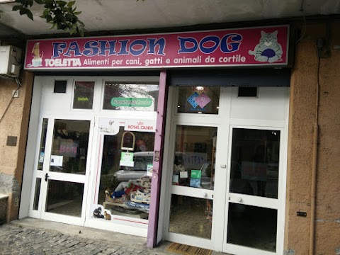 Fashion Dog Di Persili Igor