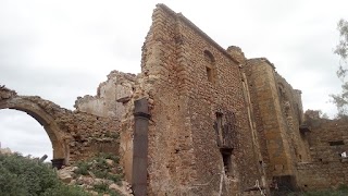 Il Villico di Foti Gianpaolo - Azienda Agricola