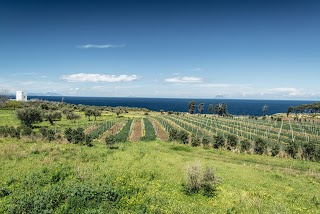 Cantina Giostra Reitano Tenuta Rasocolmo