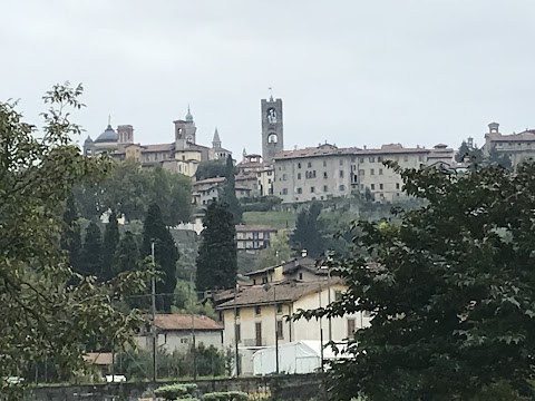 Guida Turistica di Bergamo Elisabetta Ronzoni