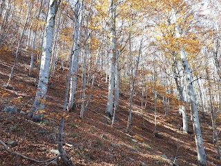 Sentiero Alta Via da Casa Biaggi al Monte Gottero