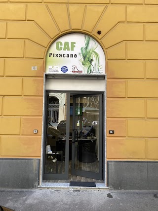 CAF Pisacane