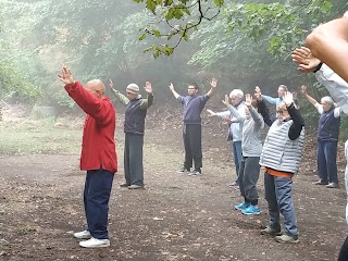 TAIJIQUAN e QIGONG---Accademia Discipline Cinesi DAOYUAN