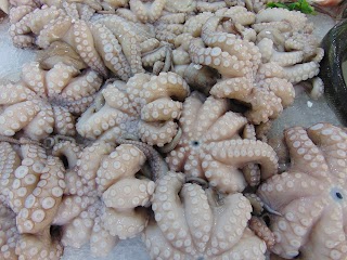 PESCHERIA DA GAGANG LUCARELLI