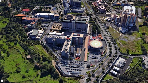 Facoltà di Medicina e Chirurgia - Università degli Studi di Catania