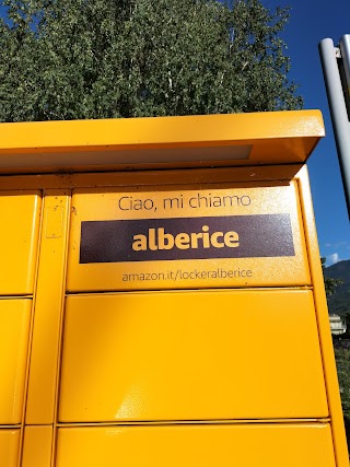 Amazon Hub Locker - alberice