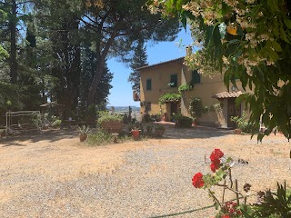 Agriturismo Martignana Alta