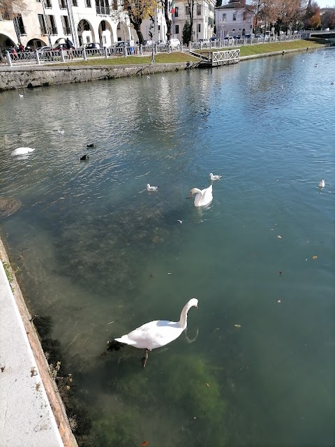 Università degli Studi di Padova - Giurisprudenza