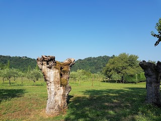 Agriturismo San Michele