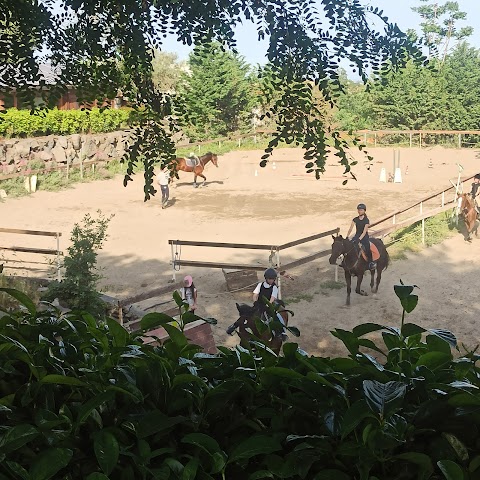 CIRCOLO IPPICO IL CILIEGIO - scuola di equitazione, Pony games, organizzazione compleanni a tema