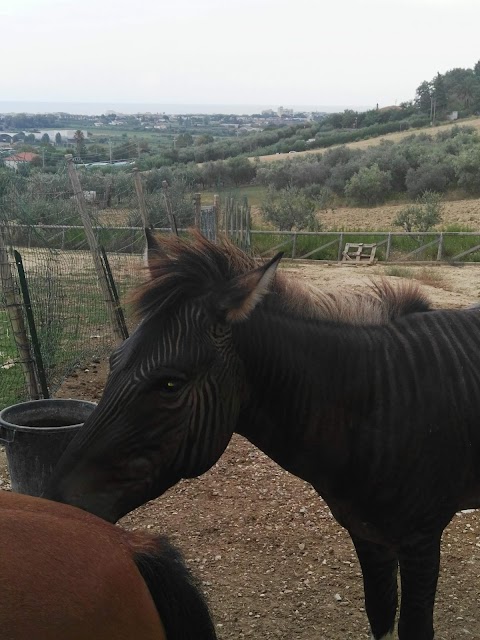 Parco Avventura