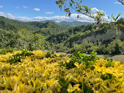 Agriturismo Pizzicalaluna