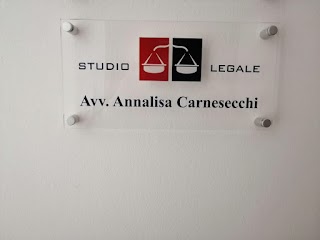 Avvocato Annalisa Carnesecchi Fauglia