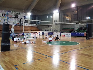 Palalosito - Palazzetto dello Sport