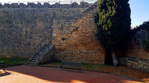 Claudia Moroni Guida Turistica Ufficiale Tarquinia