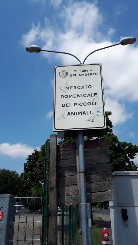 Mercato domenicale dei piccoli Animali