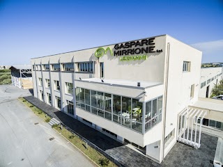 Gaspare Mirrione Spa