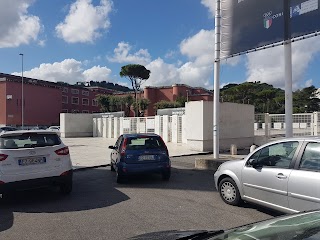 Università degli Studi di Roma "Foro Italico"