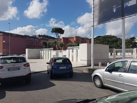 Università degli Studi di Roma "Foro Italico"