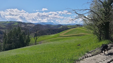 Parco Di Roncolo - volare