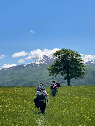 Guide Stray Dogs - Trekking, E-Bike, MTB, Ciaspolate Appennino Cimone